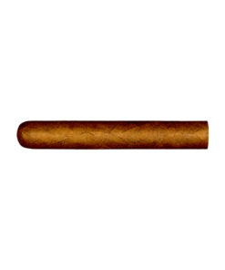 Tompus Hoyo de Monterrey Epicure No. 2